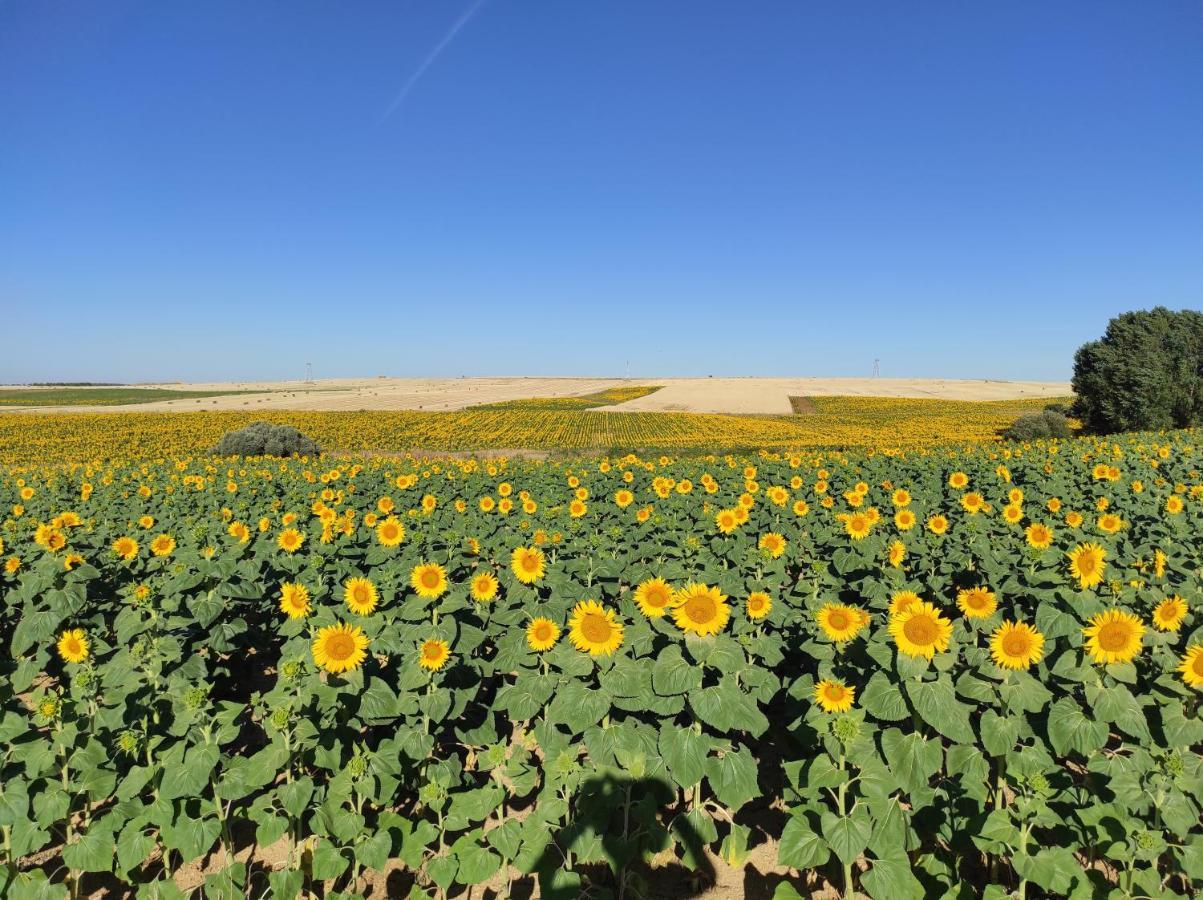 Vinarius, Posada Rural Castellanos de Villiquera Экстерьер фото