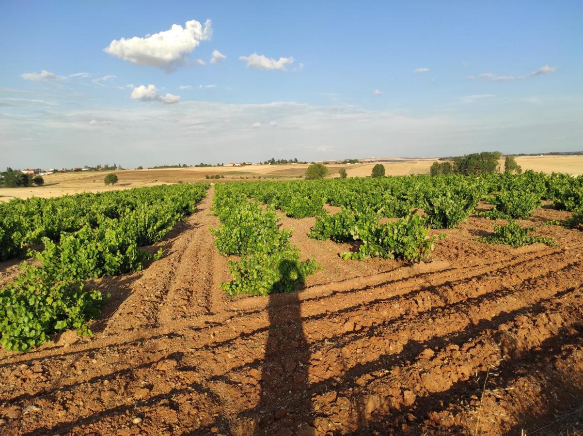 Vinarius, Posada Rural Castellanos de Villiquera Экстерьер фото